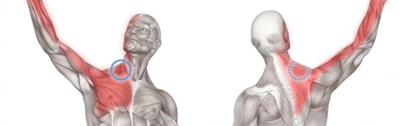 دردهای اندام فوقانی