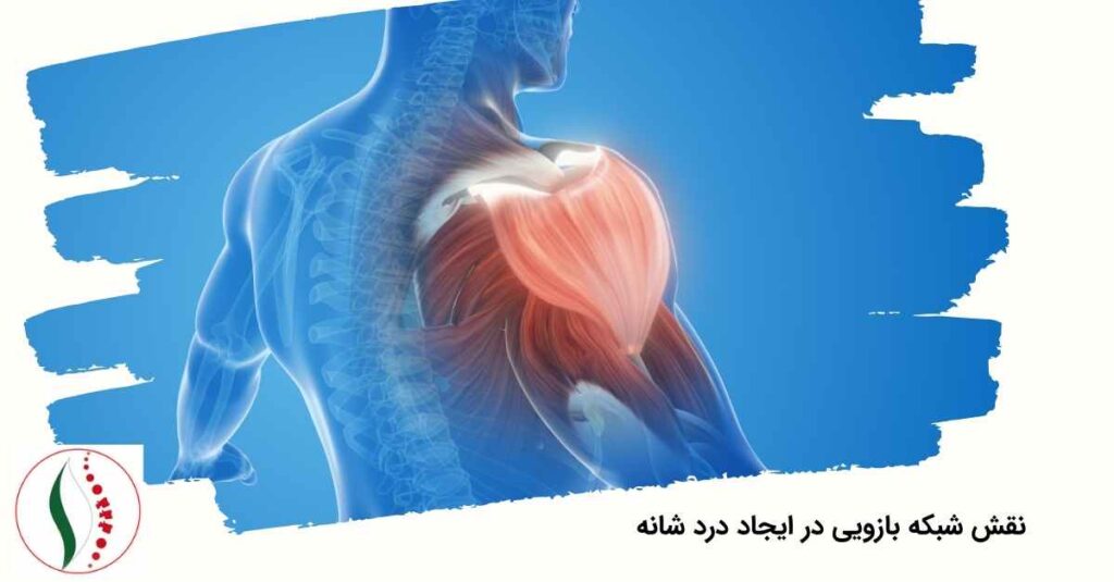 درد شانه