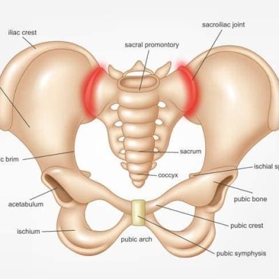 آناتومی مفصل ساکروایلیاک